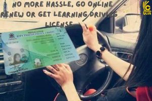 No More Hassle, Go Online renew or get learning Driving License