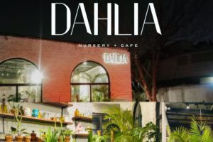 Dahlia Nursery Cafe: A Cafe Nestled in Nature's Bounty-chaskaclub
