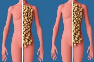 What Happens to Your Body When You Eat Walnuts Every Day 10 Science-Backed Transformations